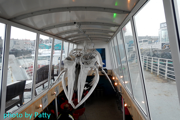 whale watching centre